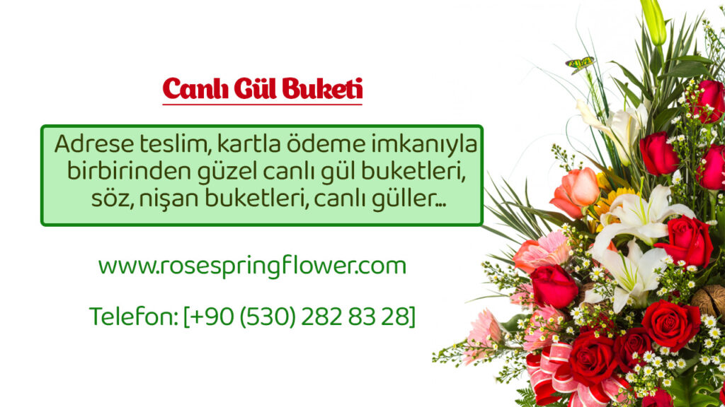 Afyon canlı gül buketi